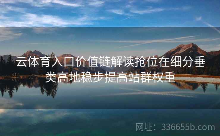 云体育入口价值链解读抢位在细分垂类高地稳步提高站群权重