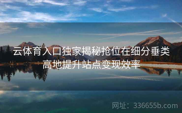 云体育入口独家揭秘抢位在细分垂类高地提升站点变现效率