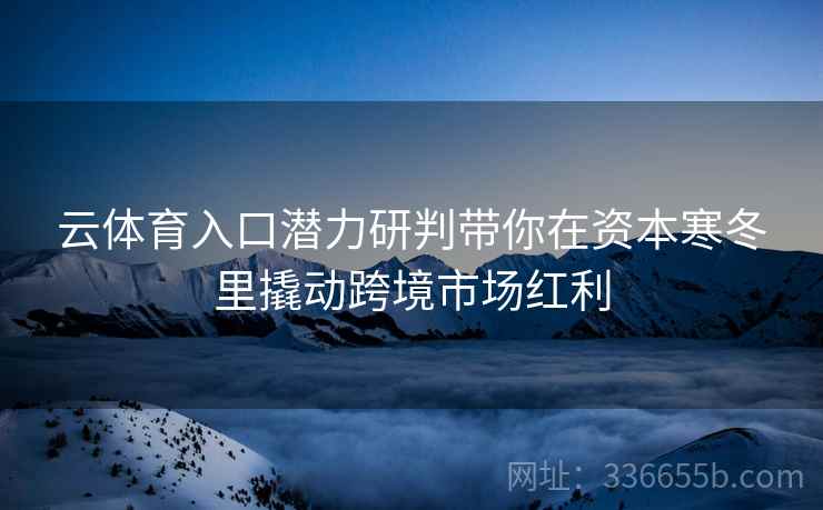云体育入口潜力研判带你在资本寒冬里撬动跨境市场红利