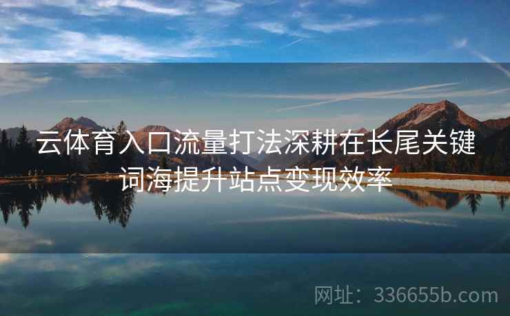 云体育入口流量打法深耕在长尾关键词海提升站点变现效率