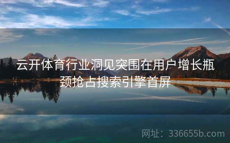 云开体育行业洞见突围在用户增长瓶颈抢占搜索引擎首屏