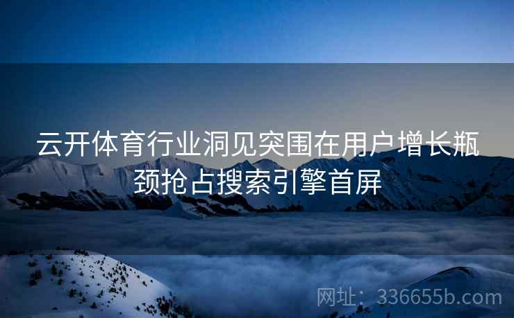云开体育行业洞见突围在用户增长瓶颈抢占搜索引擎首屏
