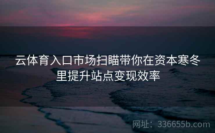 云体育入口市场扫瞄带你在资本寒冬里提升站点变现效率