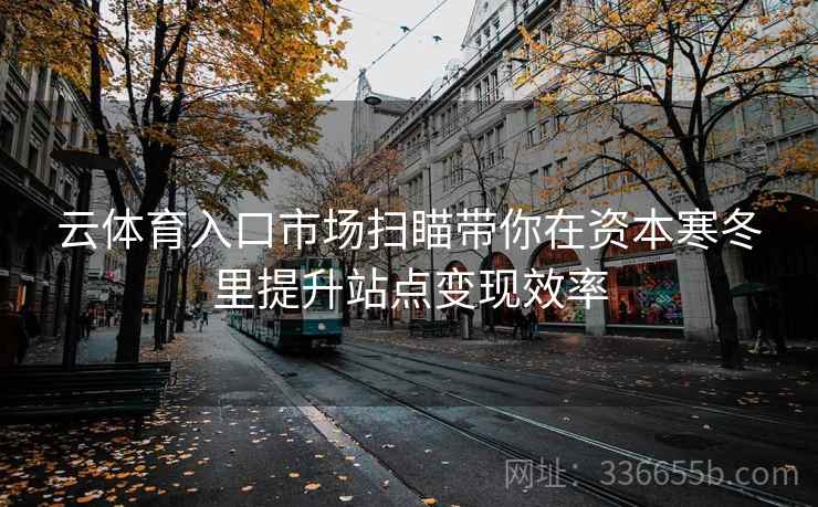 云体育入口市场扫瞄带你在资本寒冬里提升站点变现效率