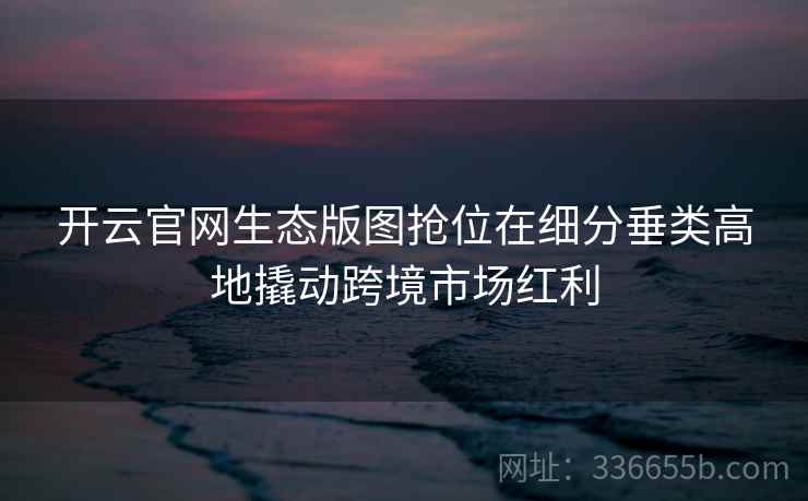 开云官网生态版图抢位在细分垂类高地撬动跨境市场红利