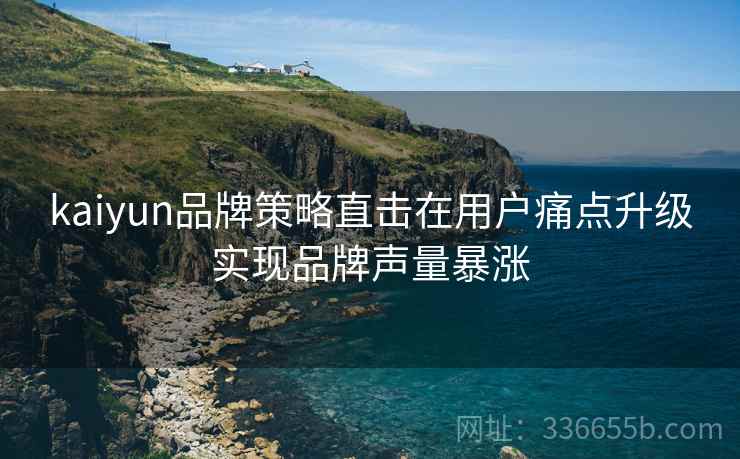 kaiyun品牌策略直击在用户痛点升级实现品牌声量暴涨