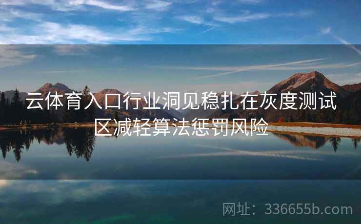 云体育入口行业洞见稳扎在灰度测试区减轻算法惩罚风险