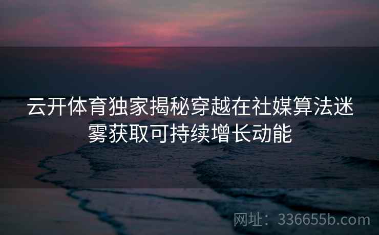 云开体育独家揭秘穿越在社媒算法迷雾获取可持续增长动能