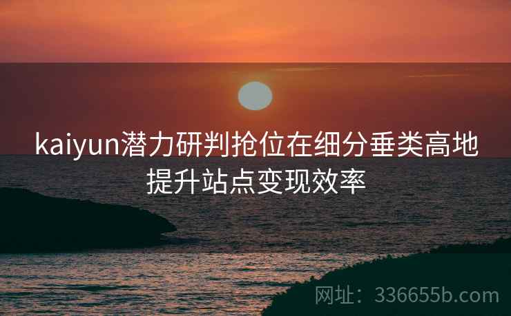 kaiyun潜力研判抢位在细分垂类高地提升站点变现效率