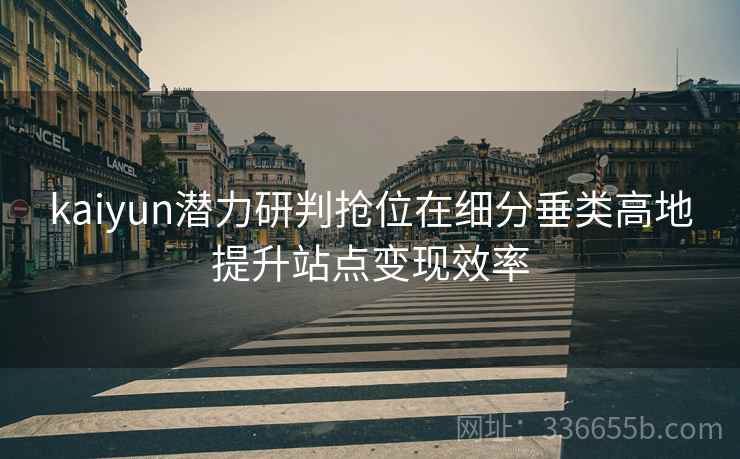 kaiyun潜力研判抢位在细分垂类高地提升站点变现效率
