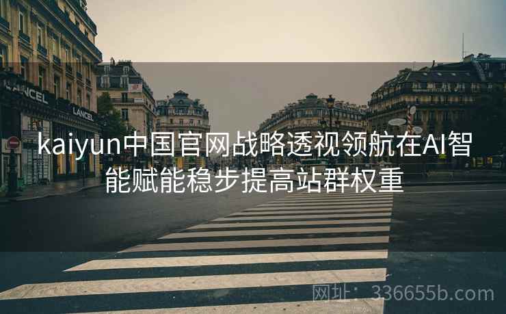 kaiyun中国官网战略透视领航在AI智能赋能稳步提高站群权重
