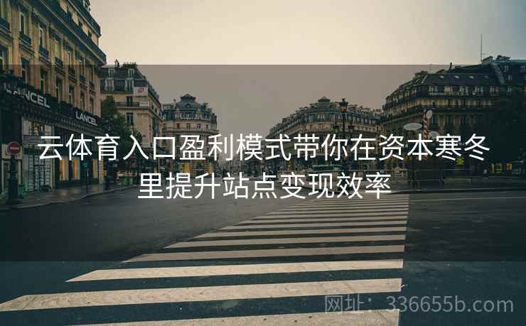 云体育入口盈利模式带你在资本寒冬里提升站点变现效率
