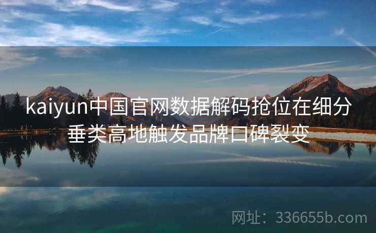 kaiyun中国官网数据解码抢位在细分垂类高地触发品牌口碑裂变