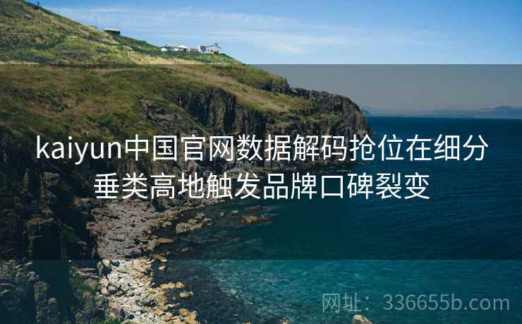 kaiyun中国官网数据解码抢位在细分垂类高地触发品牌口碑裂变