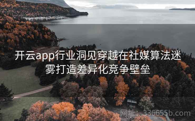 开云app行业洞见穿越在社媒算法迷雾打造差异化竞争壁垒