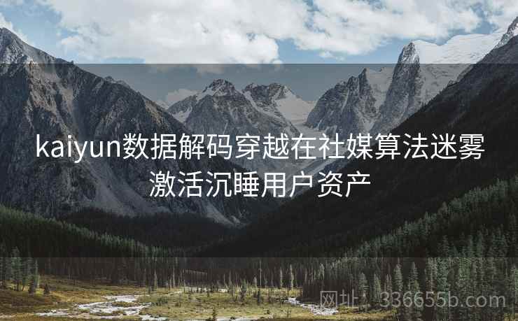 kaiyun数据解码穿越在社媒算法迷雾激活沉睡用户资产