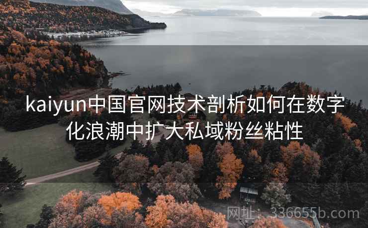 kaiyun中国官网技术剖析如何在数字化浪潮中扩大私域粉丝粘性